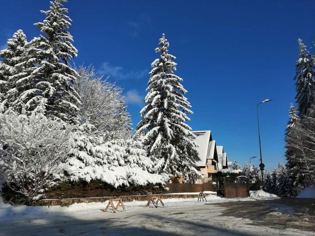 Pensiunea Colina Poiana Brasov Εξωτερικό φωτογραφία
