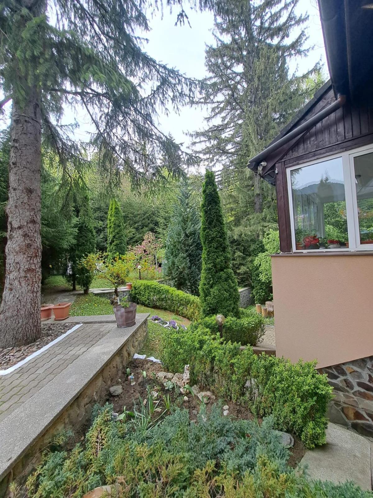 Pensiunea Colina Poiana Brasov Εξωτερικό φωτογραφία