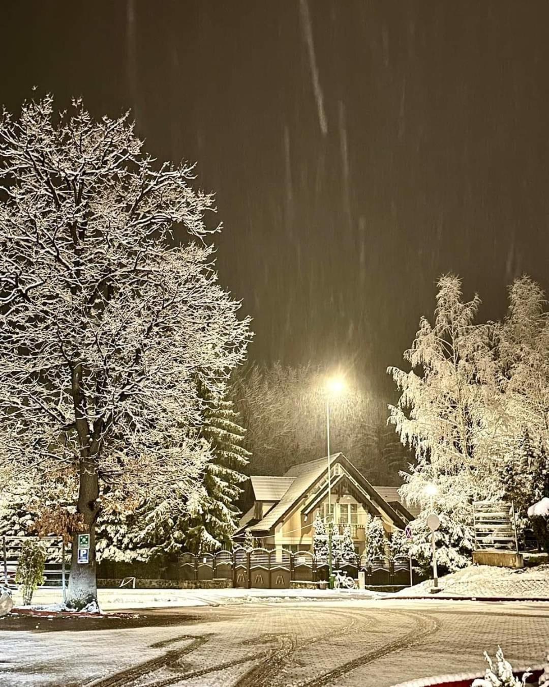 Pensiunea Colina Poiana Brasov Εξωτερικό φωτογραφία