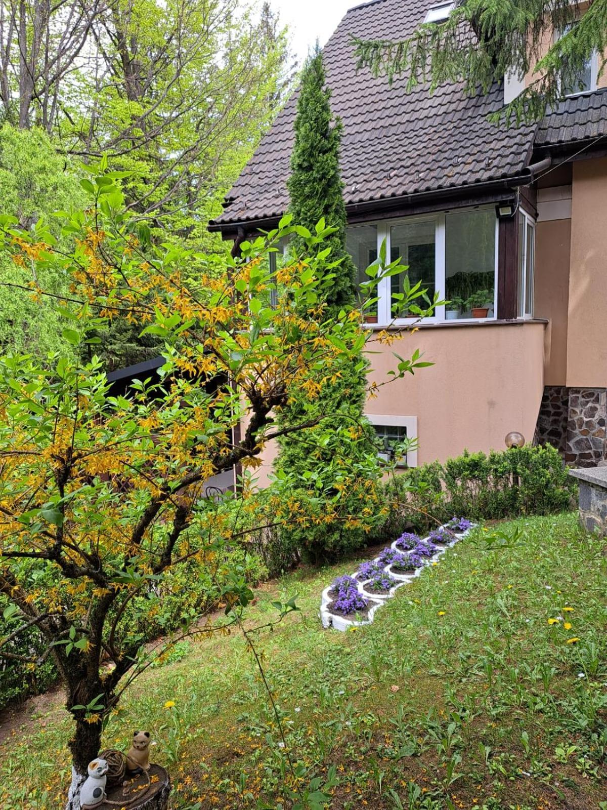 Pensiunea Colina Poiana Brasov Εξωτερικό φωτογραφία