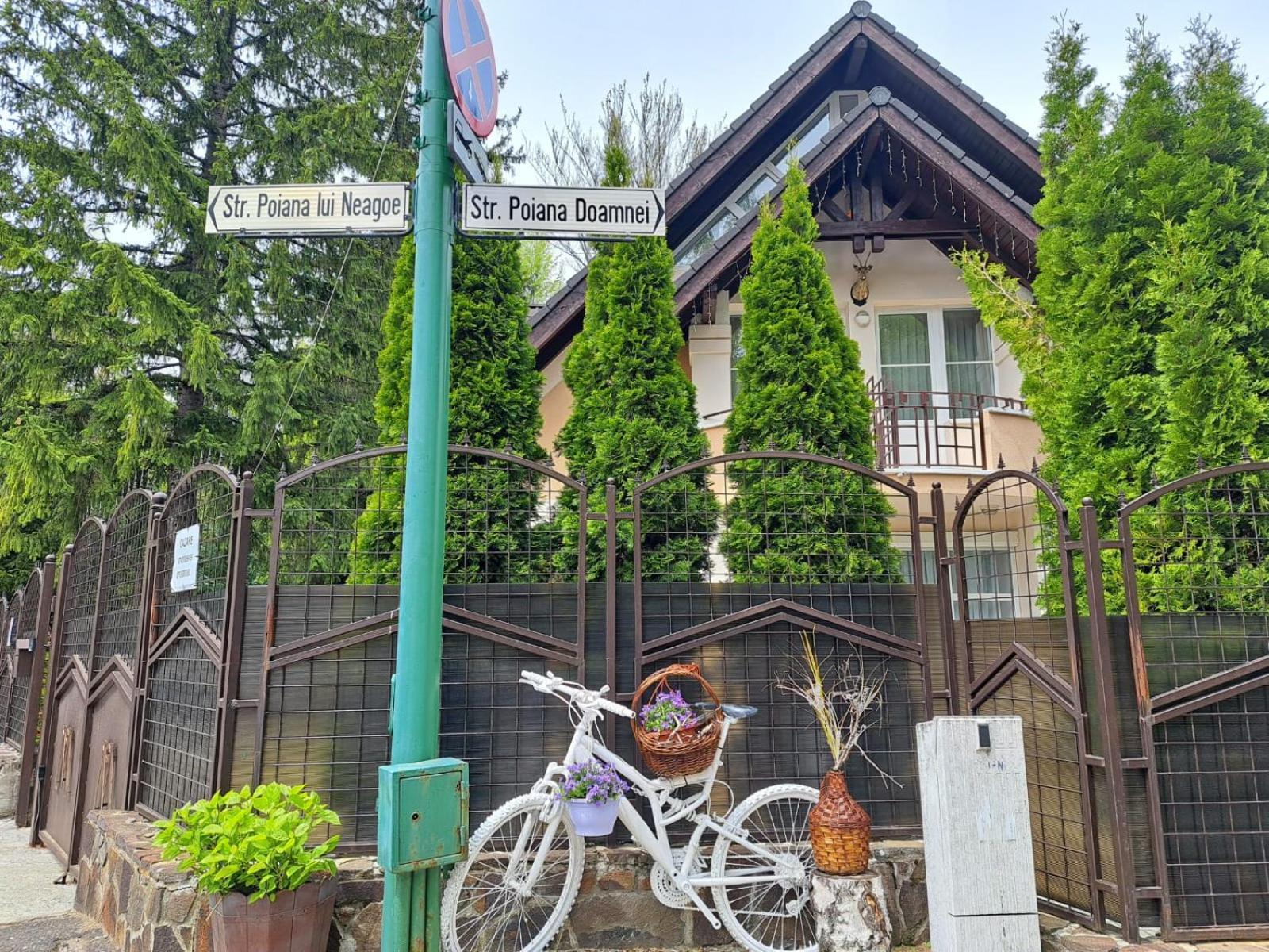 Pensiunea Colina Poiana Brasov Εξωτερικό φωτογραφία