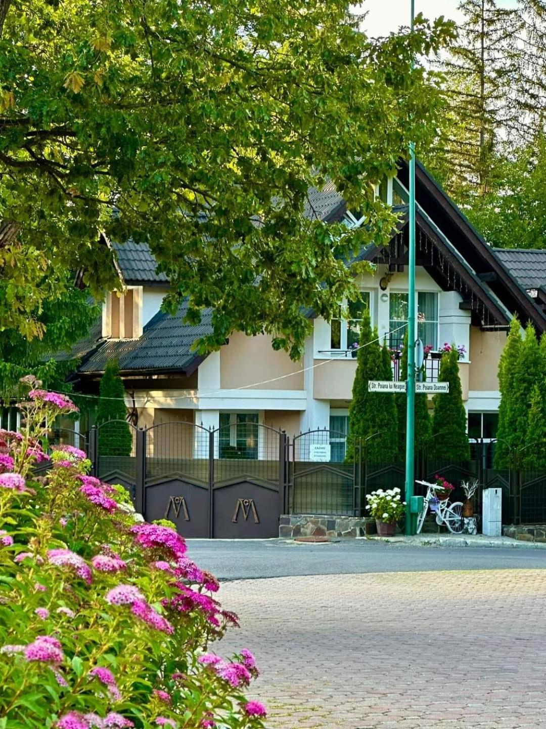 Pensiunea Colina Poiana Brasov Εξωτερικό φωτογραφία