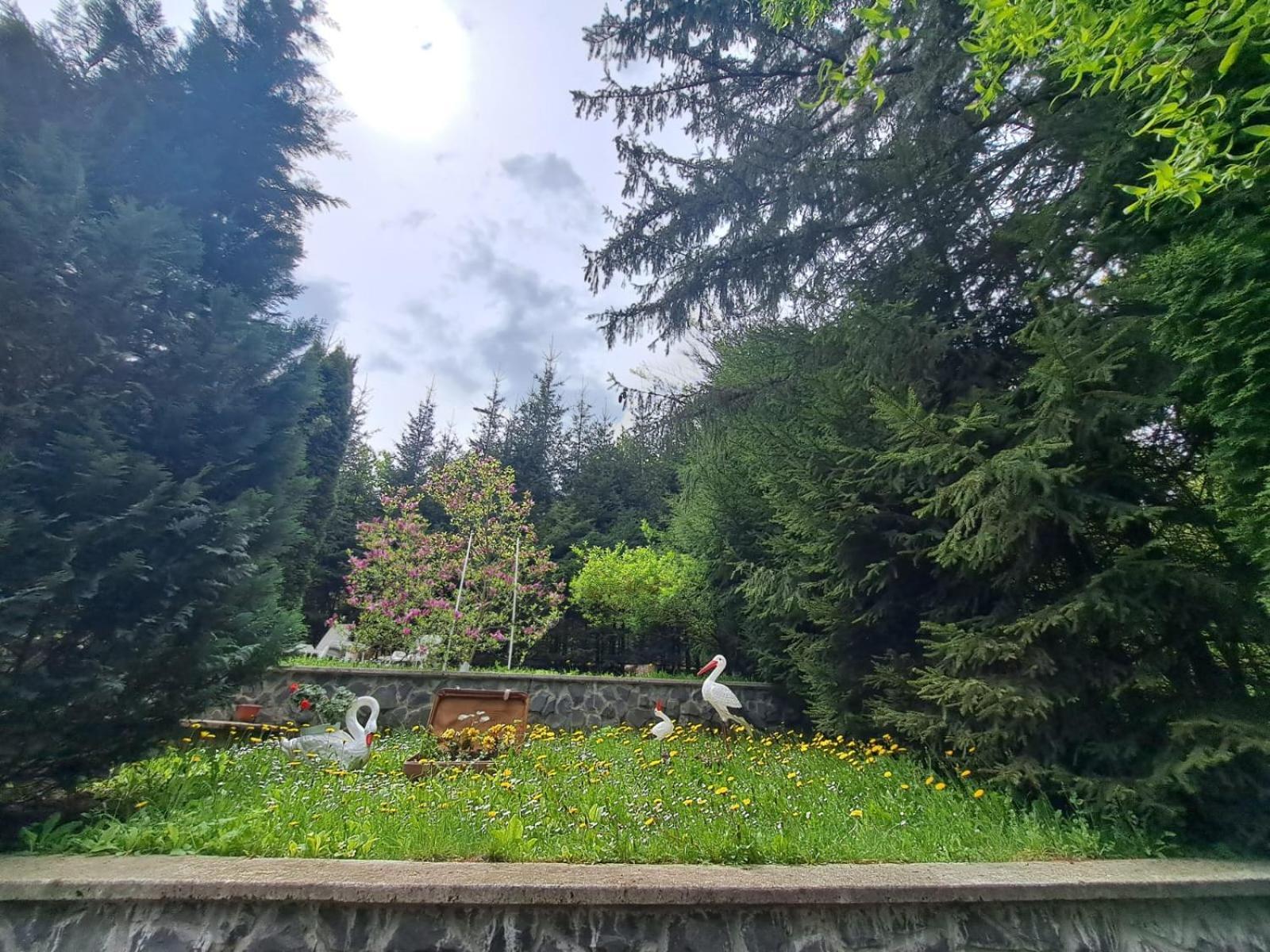 Pensiunea Colina Poiana Brasov Εξωτερικό φωτογραφία