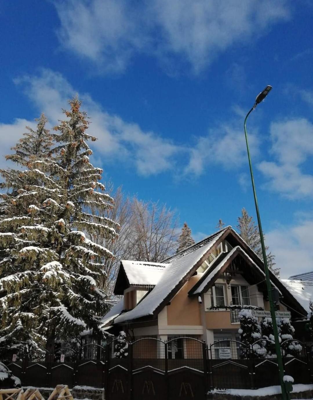 Pensiunea Colina Poiana Brasov Εξωτερικό φωτογραφία
