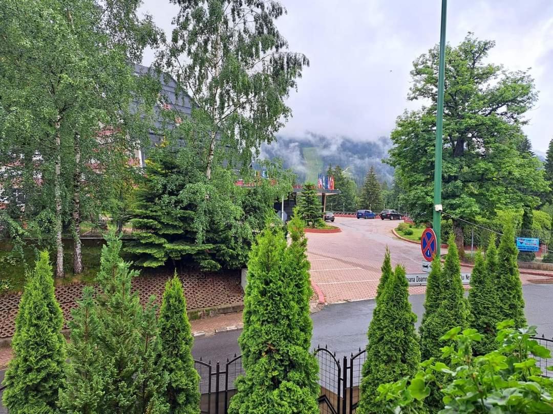 Pensiunea Colina Poiana Brasov Εξωτερικό φωτογραφία