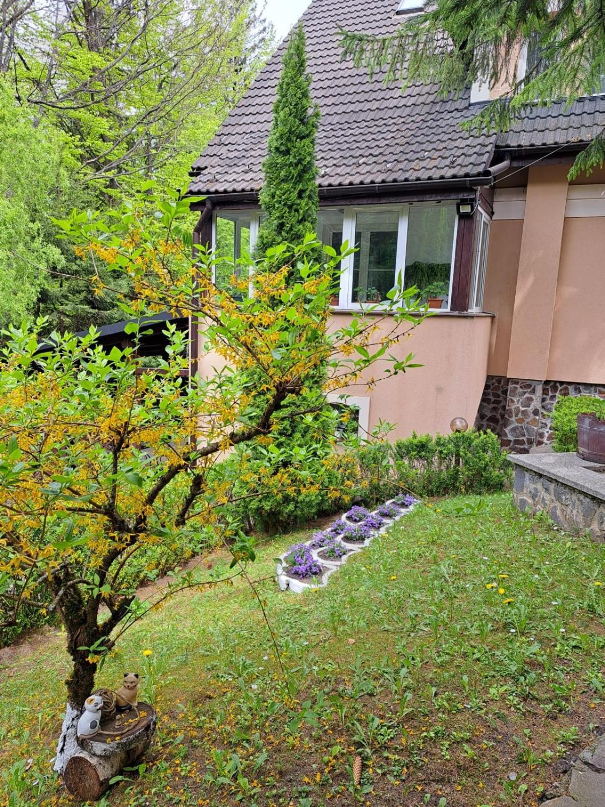 Pensiunea Colina Poiana Brasov Εξωτερικό φωτογραφία
