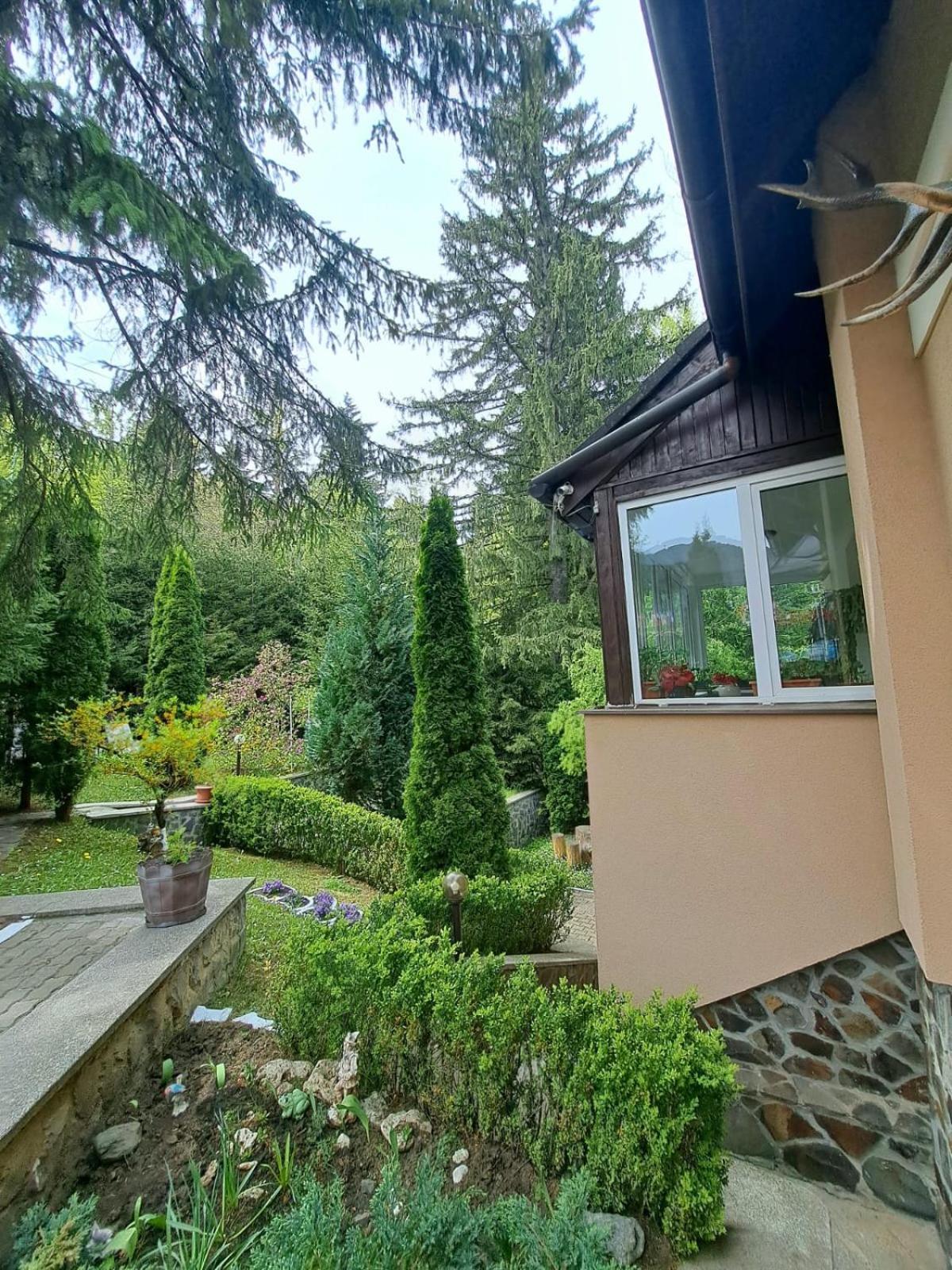 Pensiunea Colina Poiana Brasov Εξωτερικό φωτογραφία