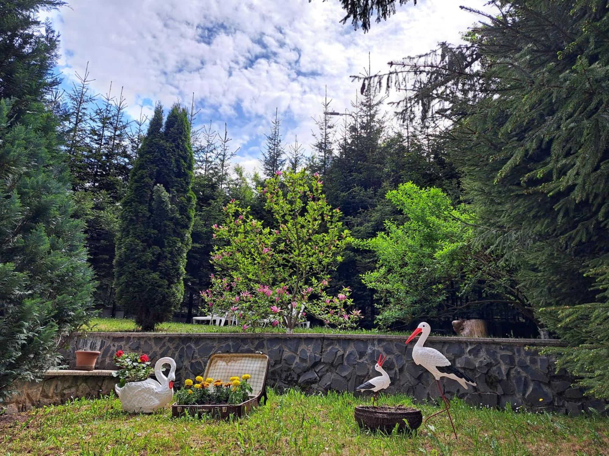 Pensiunea Colina Poiana Brasov Εξωτερικό φωτογραφία