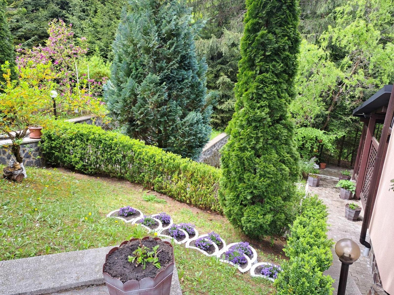 Pensiunea Colina Poiana Brasov Εξωτερικό φωτογραφία