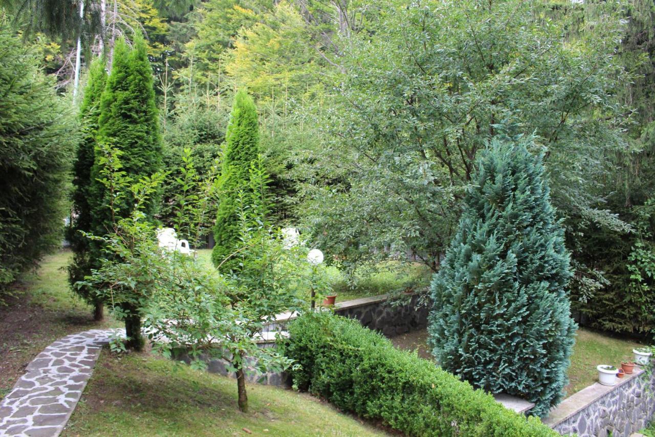Pensiunea Colina Poiana Brasov Εξωτερικό φωτογραφία