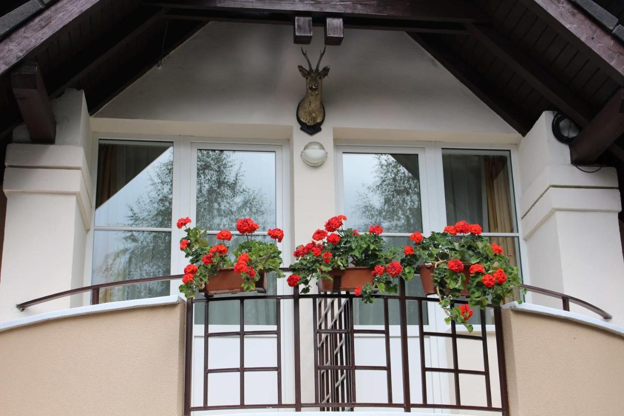 Pensiunea Colina Poiana Brasov Εξωτερικό φωτογραφία